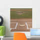 Baseball Field Wall Mural