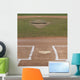 Baseball Field Wall Mural