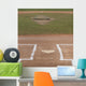 Baseball Field Wall Mural