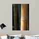 Bamboo Wall Mural
