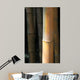 Bamboo Wall Mural