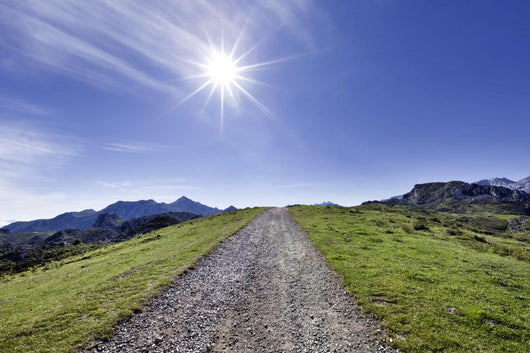 Path Path