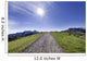 Path Path