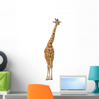 Giraffe Wall Decal Design 2 shown on a wall