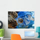 Meteors Wall Decal