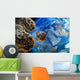 Meteors Wall Decal