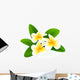 Frangipani Wall Mural