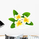 Frangipani Wall Mural