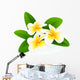 Frangipani Wall Mural