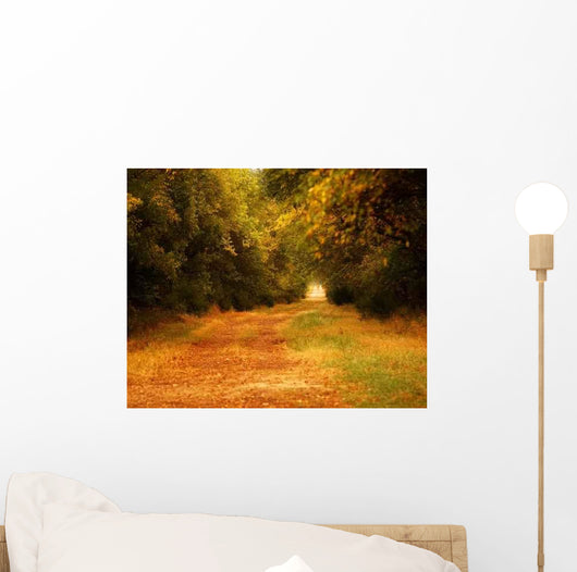 Autumn Colorful Path Wall Decal