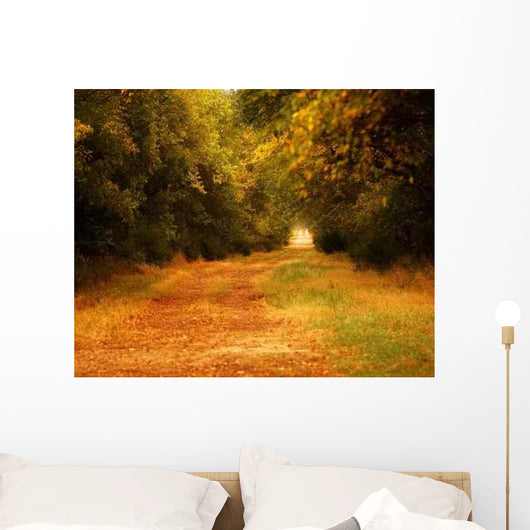 Autumn Colorful Path Wall Decal