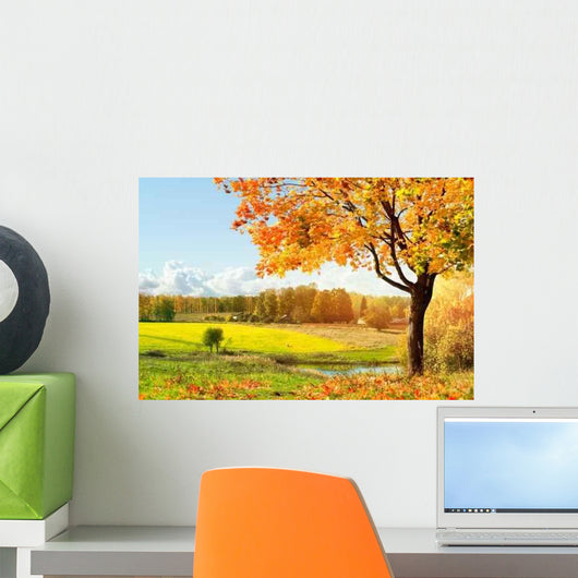 Autumn Morning Park Wall Decal