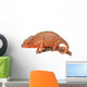 Chameleon Madagascar Chamaeleo Pardalis Wall Mural