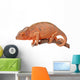 Chameleon Madagascar Chamaeleo Pardalis Wall Mural