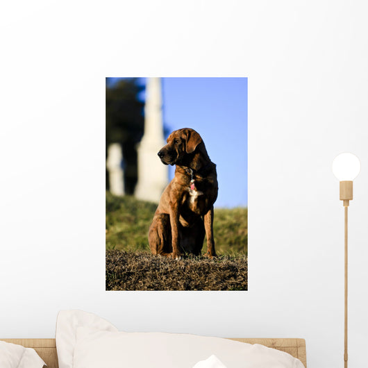 The Noble hound Wall Mural