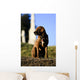 The Noble hound Wall Mural
