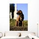 The Noble hound Wall Mural