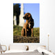 The Noble hound Wall Mural