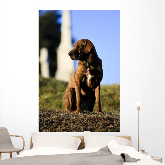 The Noble hound Wall Mural