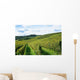 french winery Wall Mural