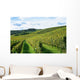 french winery Wall Mural