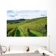 french winery Wall Mural