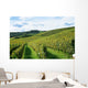 french winery Wall Mural