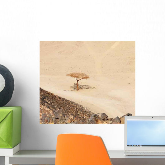 Lonely Dry Tree Egypt Wall Decal