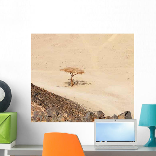 Lonely Dry Tree Egypt Wall Decal