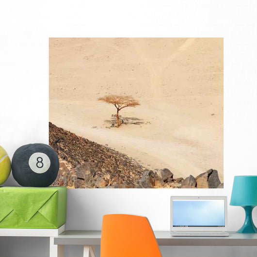 Lonely Dry Tree Egypt Wall Decal
