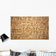 hieroglyphs carved on the stone Wall Mural