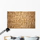 hieroglyphs carved on the stone Wall Mural