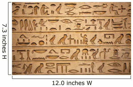 hieroglyphs carved on the stone Wall Mural