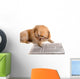Dog Reads Newspaper Wall Decal