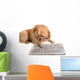 Dog Reads Newspaper Wall Decal