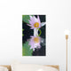 Water Lily Flower Wall Mural