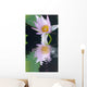 Water Lily Flower Wall Mural