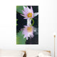 Water Lily Flower Wall Mural