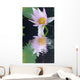Water Lily Flower Wall Mural