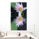 Water Lily Flower Wall Mural