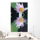 Water Lily Flower Wall Mural