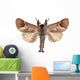 Closter Curtula Wall Decal