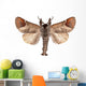Closter Curtula Wall Decal