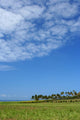 Landscape Wall Mural