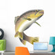 Fish Decals - Wildlife Trout Wall Decal