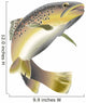 Fish Decals - Wildlife Trout Wall Decal