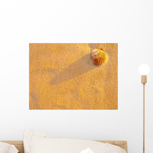 Concha Areia Wall Decal