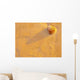 Concha Areia Wall Decal