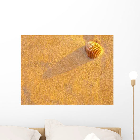 Concha Areia Wall Decal