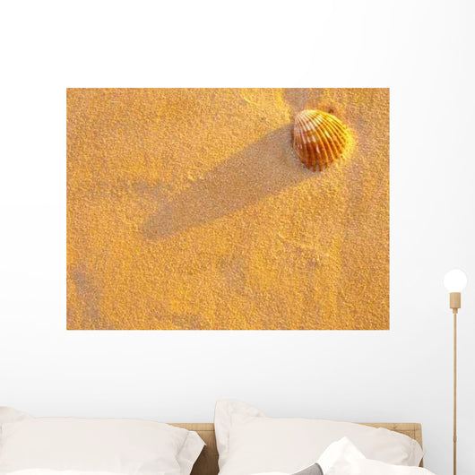 Concha Areia Wall Decal
